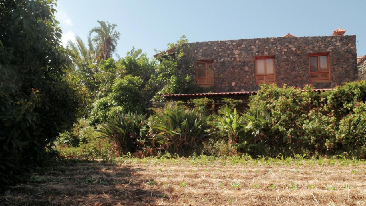 Casa Rural El Liron Ingenio Dış mekan fotoğraf